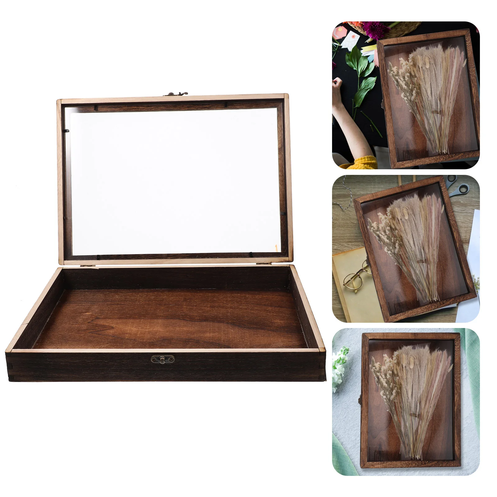 

Bug Display Case Dried Flowers Specimen Box Storage Insect Wooden Frame Cabinet