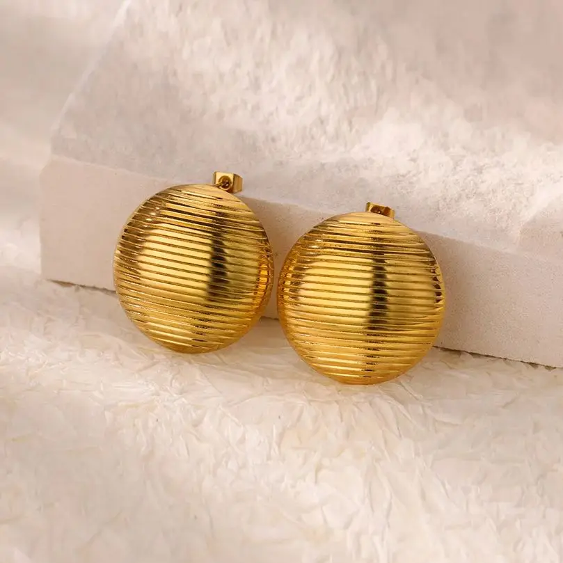 Stripe Stainless Steel Earrings for Women