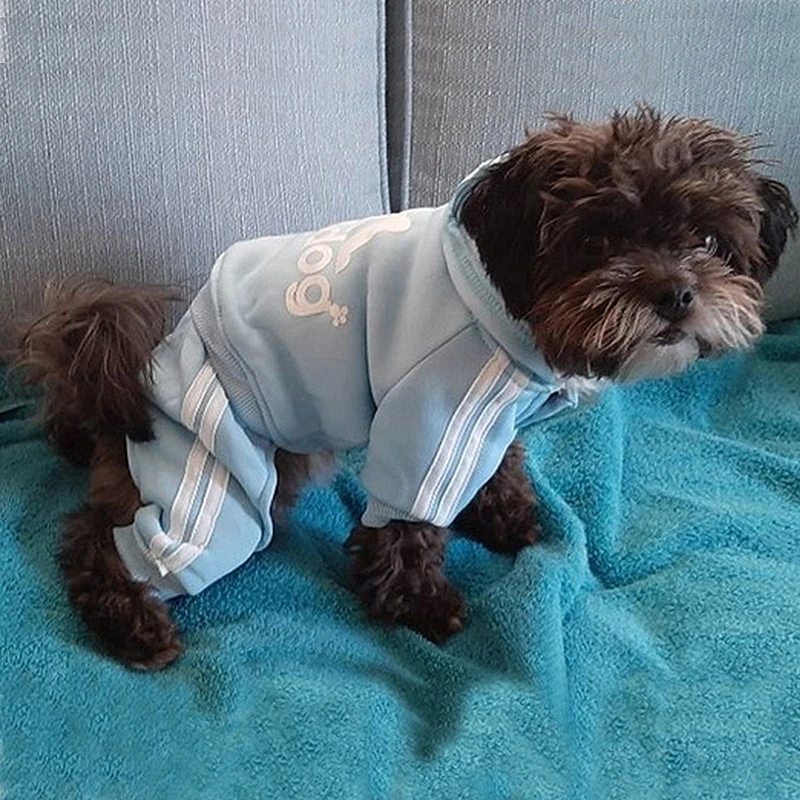 Pet Clothes for Small and Medium Dogs Adidog Winter Dog Puppy Sweatshirt Coat Chihuahua Costume pet clothes