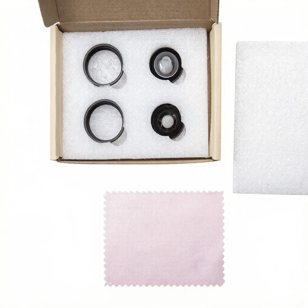 Objectif Fisheye Insta360 X3 Remplacement 360° - Lot 1 ou 2