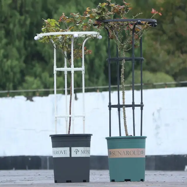 Beltéri Rácsos Leszerelhető Kert Obeliszk Rács Hordozható Cserepes Növényi Hegymászás Virágok Számára Zöldség Gyümölcsök Szőlő