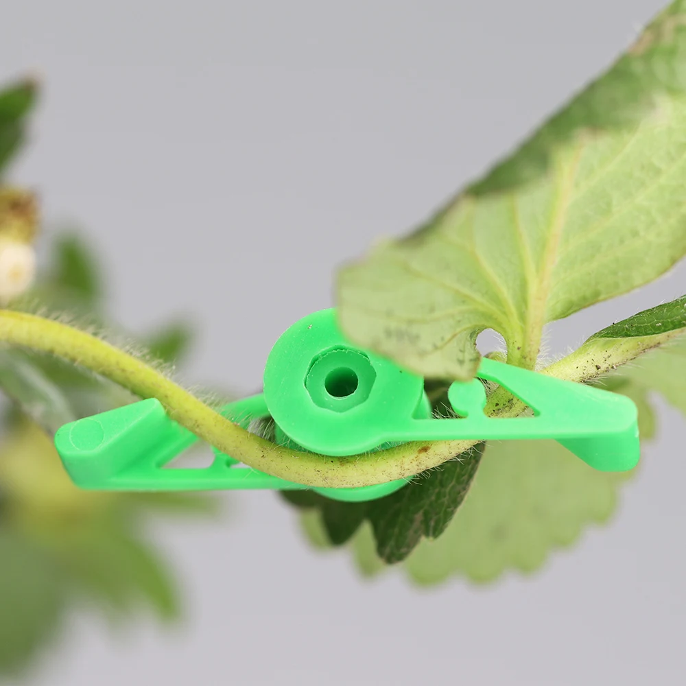 40 Clip Regolabili 360° Per Piegatura Piante | Kit Di Allenamento A Basso Stress Per Pomodori E Rampicanti