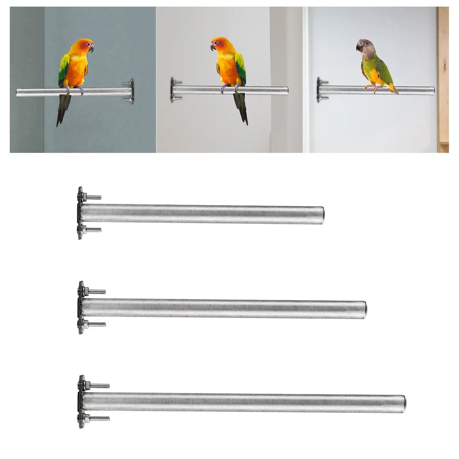 Bird Cage Perch Stainless Steel Parrot Stand Claws Grinding Rod Bird Perch for Small Birds Finches Cage Accessories