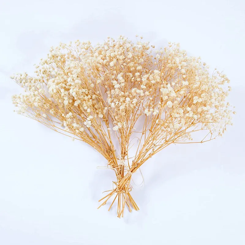 

Dried Baby's Breath Flowers Bouquet Natural White Dry Flowers Bulk Gypsophila Branches for Wedding, Table Vase, Party Garden
