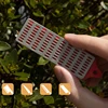 3pcs Stone Backing Whetstone Block For Ski Edges DMD Diamond Sharpening Hone Set Skiing Sharpeners 240 360 500 1000 Grit 1