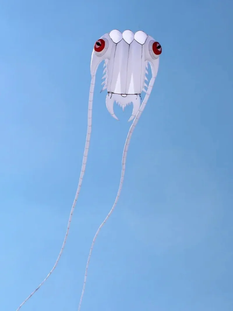 Spedizione Gratuita Big Soft Kite Fly White Trilobites Kite Windsock Outdoor Sport Professional Kite Toy Sport Nylon Kite Kite