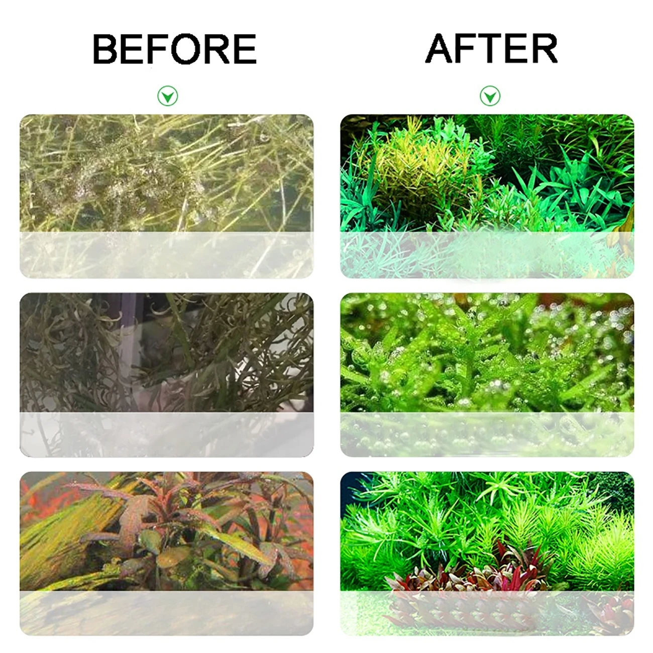 CO2 Aquarium Generator Kit 3