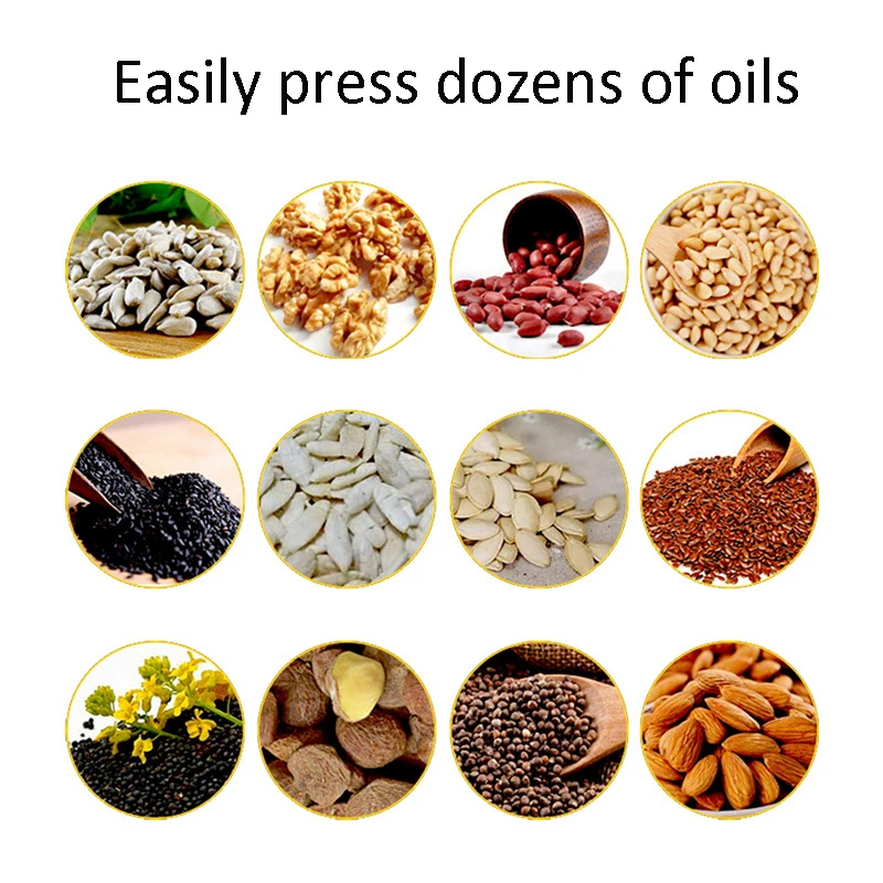 110/220V Commercial Home Use Olive Oil Press Machine Intelligent Mini Oil Extracting Machine High Efficient 10KG/H Oil Squeezer 6