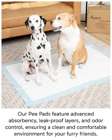Pee Pads Image