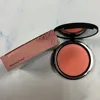 12Pcs/Lot Poreless Finish Airbrush Brightening 5.44g Natural Concealer Blush 5