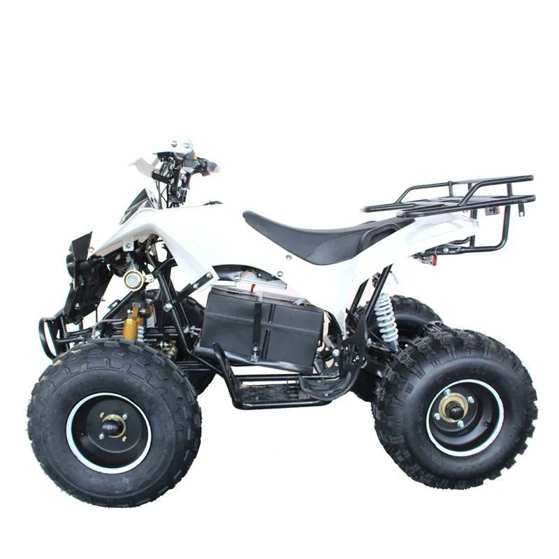 New  Mini Electric Quad Atv  1000w 60v Atvs for Kids