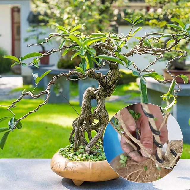 Alambre de entrenamiento para bonsái, alambre de aluminio anodizado para  forma de planta, accesorios de jardín