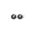 1Lens