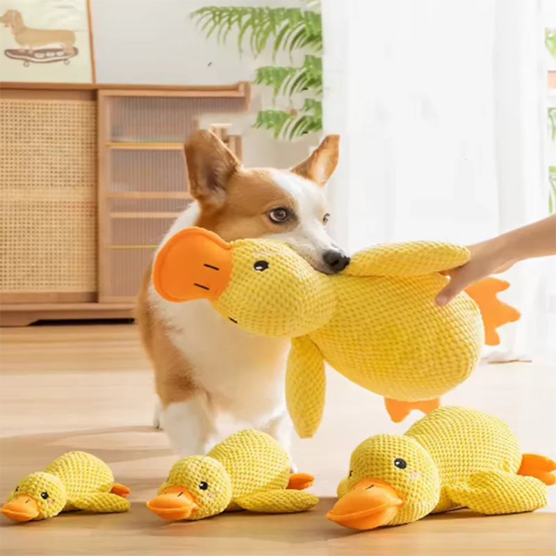 Dog sleeping with a hug duck toys to relieve boredom of little yellow pet...