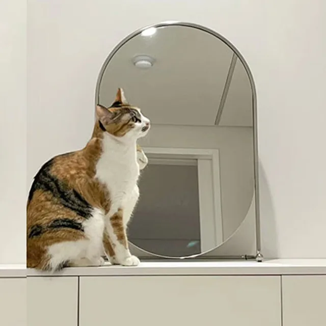 Smink Fali Tükör Fürdőszoba Design Íróasztal Álló Koreai Fodrászat Ovális Miroir Falfestmény Dekoráció - Image 5