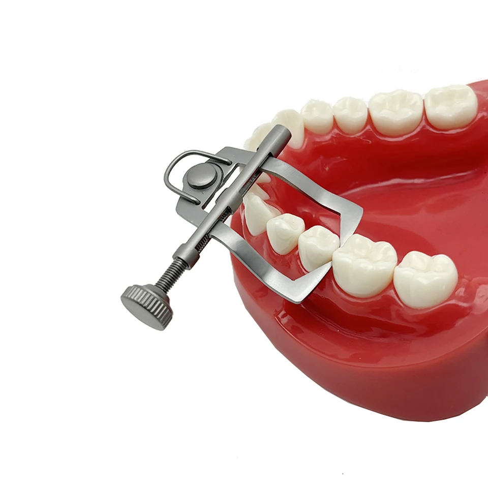 歯科 セパレーター 歯科用歯のセパレーター,前腕および矯正器,weders,矯正