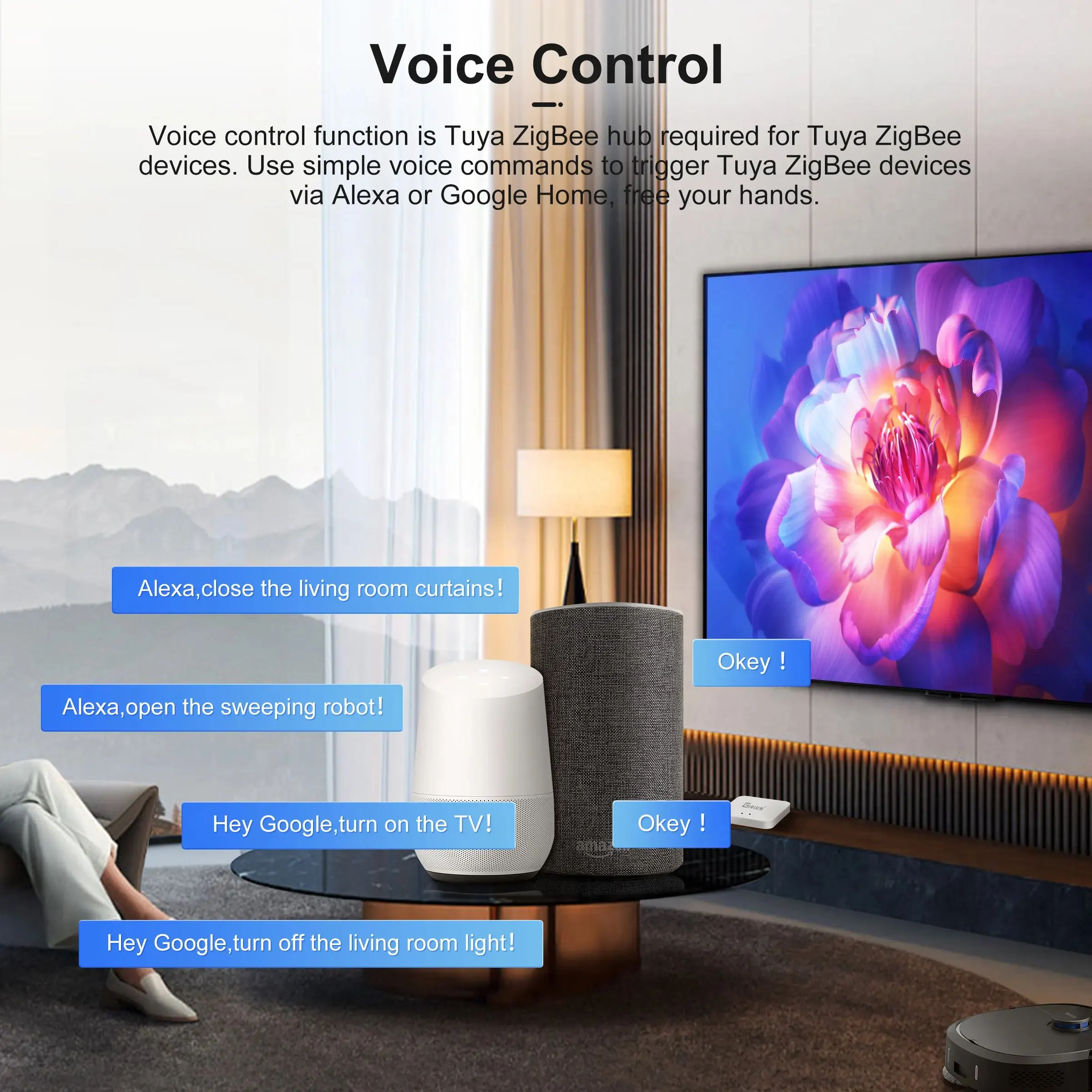Lg Tvs Is My Lg Tv Compatible With Google Home Home App Connecting - Main Image