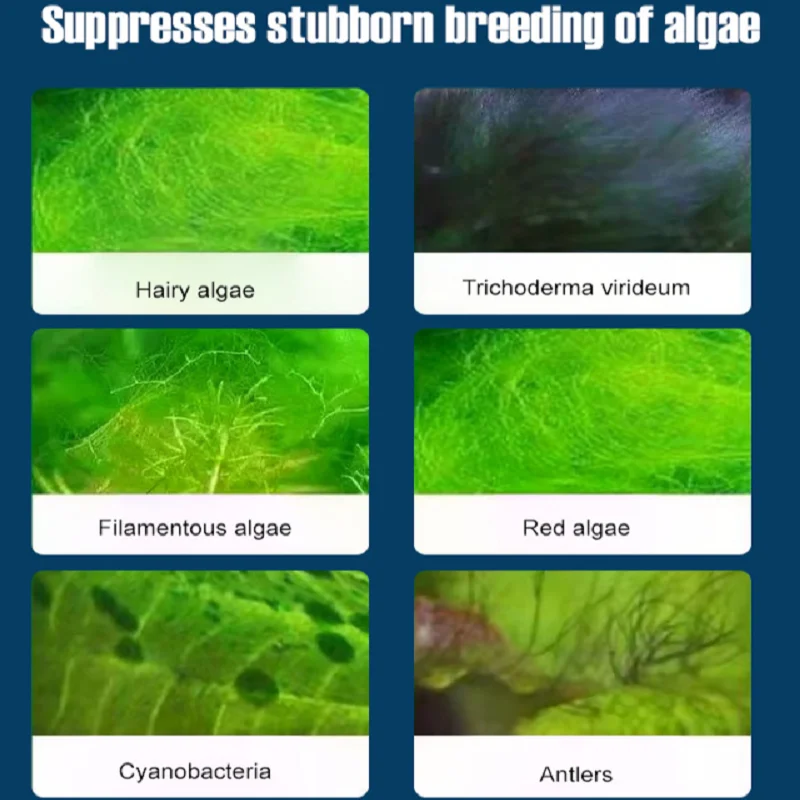 Algaecide 300ml 1/2PC Fish Tank Remove Aquarium Moss Remover Fish Tank Water Purification Algae Removal Cleaner Clarifying aquarium algae remover