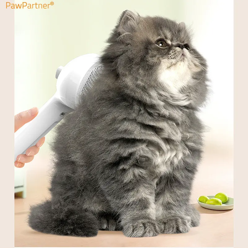 PawPartner    ü û ֿ    귯    Dematting   ̽Ʈ 