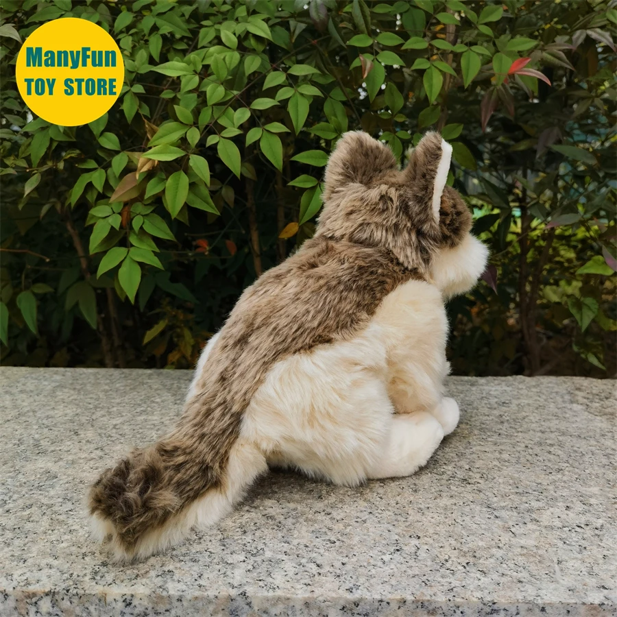 Coyote Plush Toy Lobos High Fidelity Grey Wolf Plushie Wolf Peluche Lifelike Stuffed Animals Simulation Doll Kawai Toy Gifts 5