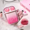 Rose Pink Liquid Lipstick Mirror Water Lip Gloss Matte Velvet Lip Glaze Combination Long Lasting Lip Tint Cosmetic Kits Lipgloss