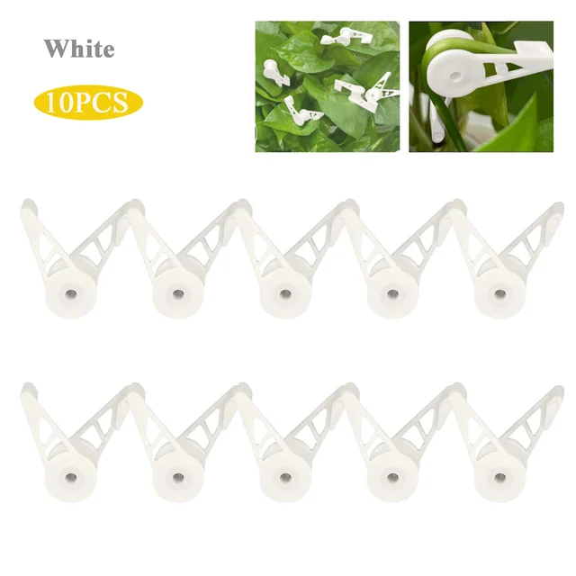 10pcs white