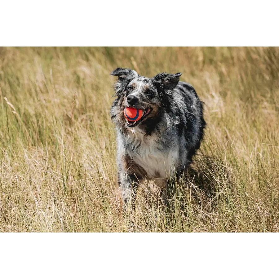 Bouncy Medium Dog Fetch Ball Durable Rubber Toy