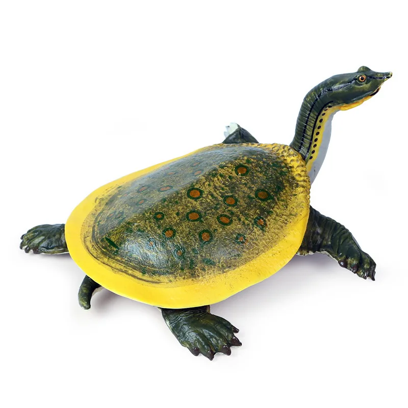 

Simulated marine life animal model, freshwater turtle horn turtle, turtle king eight turtle model toy ornaments