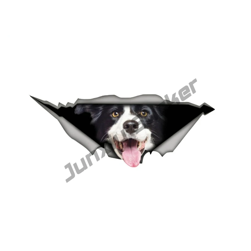 

Border Collie Car Sticker Funny Pet Dog Phone Bumper Decal Waterproof Car Styling Animal Sticker Vinyl Decal Decoration KK15x6cm