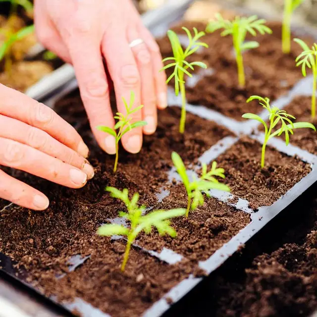 Talajblokk-Készítő 4 Lyukak Nagy Teherbírású 2 Hüvelykes Penész-Stop Szerszám Talajblokkoló Kényelmes Fogantyúval Palántával - Image 2