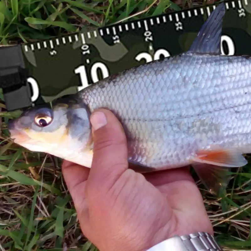 Fish Ruler For Boat Precise Waterproof Fishing Measuring Mat Wear-Resistant Fish Ruler Portable Fillet Mat For Outdoor