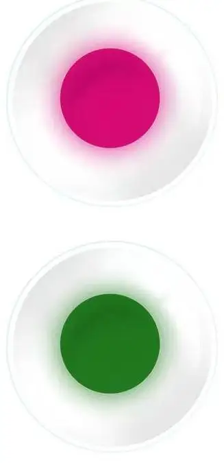 Enhanced Color Vision Contact Lenses for Color Blindness - Yearly Wear