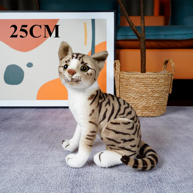 25cm sit pattern