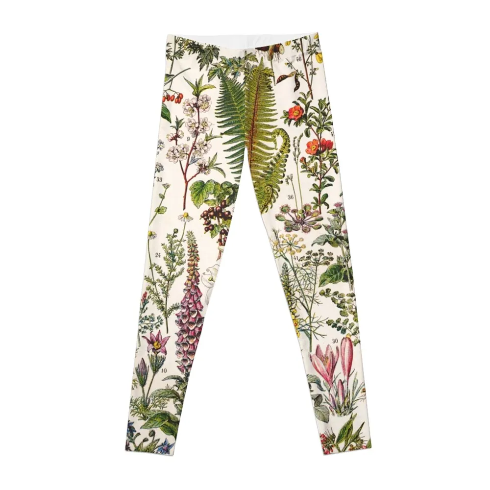 

Adolphe Millot - Plantes Medicinales B - French vintage poster Leggings sportswear gym sport set Women's push up Womens Leggings