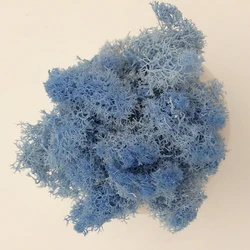 Eternal Life Artificial Moss - Decorative Greenery - 100g (Light blue)