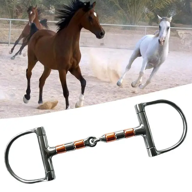 Horse Snaffle Bit D Ring Mouth Bit Roller With Copper Single Joint Horse Bit D-Ring Snaffle Bits For Equestrian Supplies 4