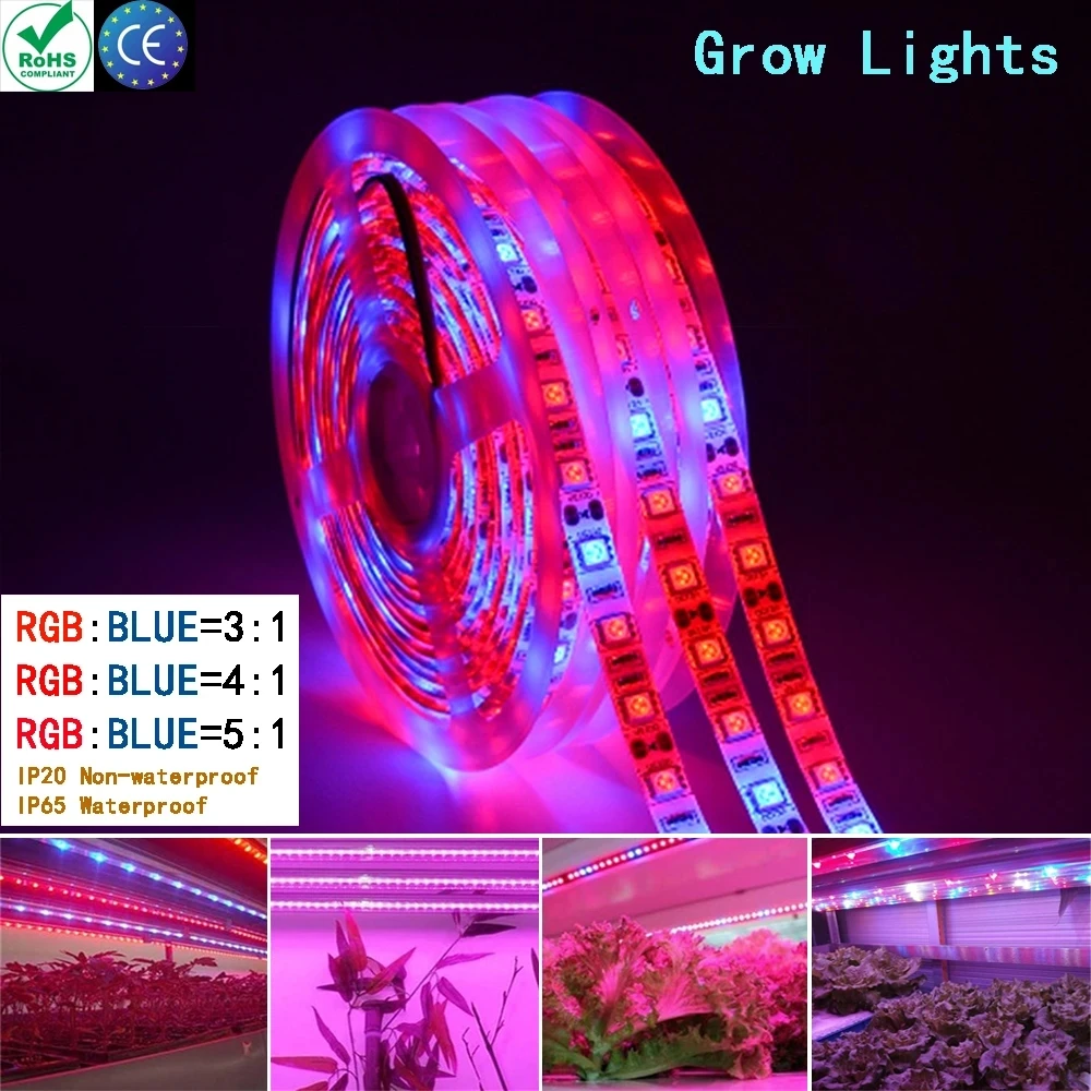 Led Grow Light Strip Full Spectrum Flower Plant I Semi Phyto Growth Lamp Dc 12V Per Serra Indoor Hydroponic Grow Lights