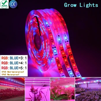 Led 성장 조명 스트립, 전체 스펙트럼 꽃 식물 씨앗 식물 성장 램프, DC 12V 실내 온실 수경 재배 조명
