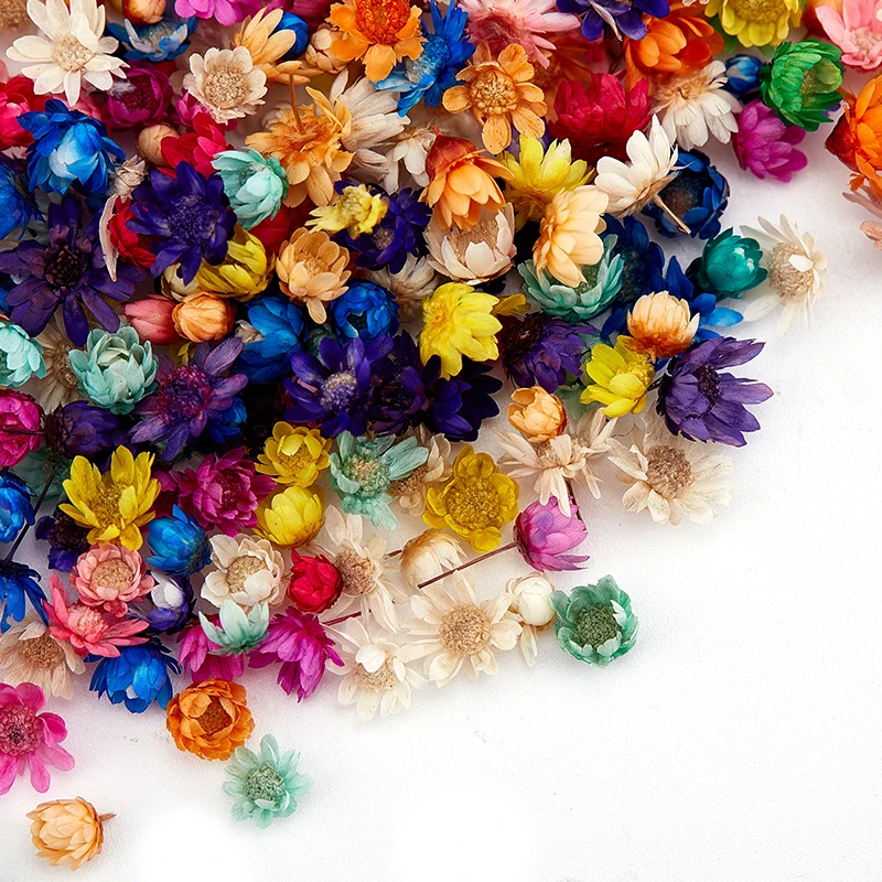 Artificial Flower 200or100 Pcs Dried For Epoxy Resin DIY Art Craft Candle Jewellery Making Glass Cover Ball Filler Accessories