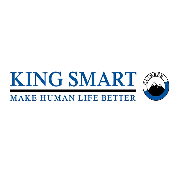 KING SMART Store