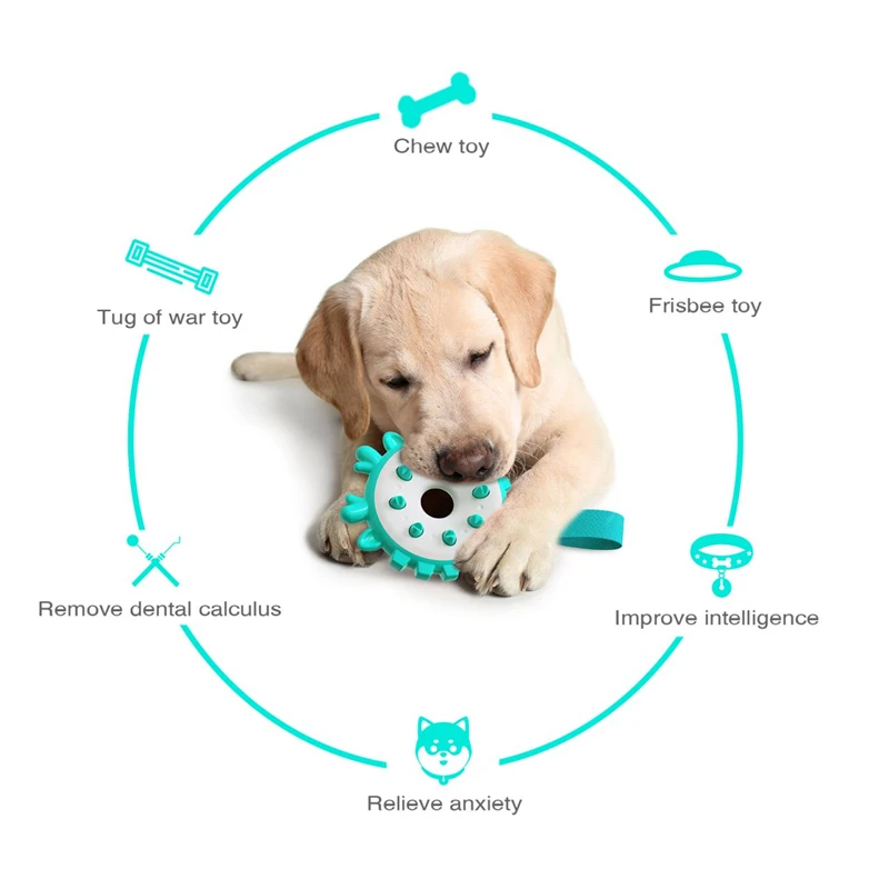 Interactive Dog Puzzle Toy & Slow Feeding Nail Scratch Board