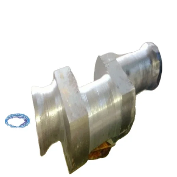 

OEM forging 4340 4140 42crmo4 steel rotor crank eccentric shaft