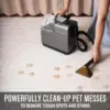 Carpet Cleaner Machine with Steam  for  Powerful Suction with Versatile Tools, Compact Pet Stain Remover 4