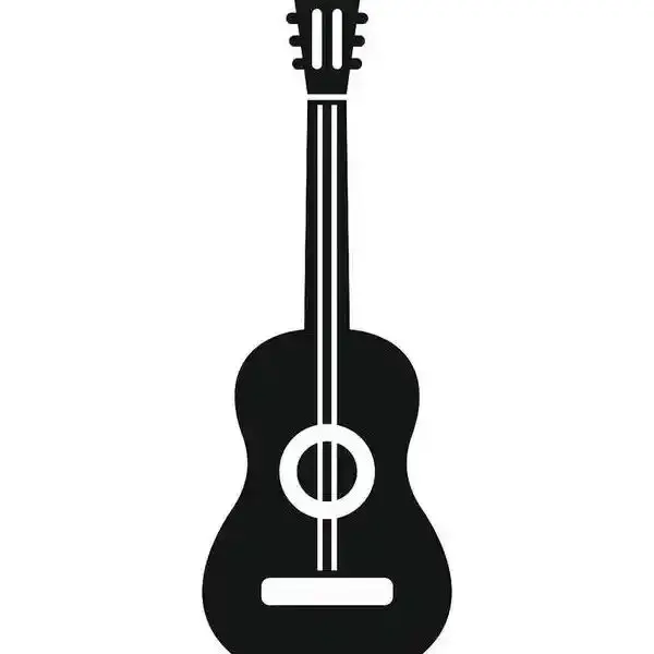 Boya Musical Instrument Accessories Store