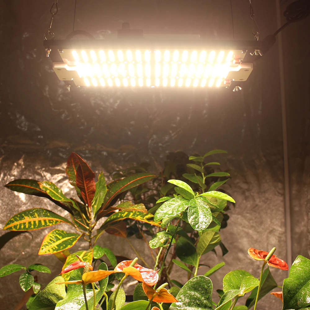 S748281bc1c3847a0acce4cd47b5bd