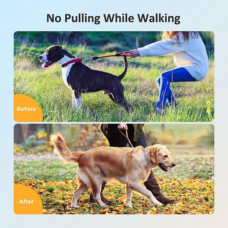 Adjustable Dog Training Collar with Protective Rubber-Tipped Prongs