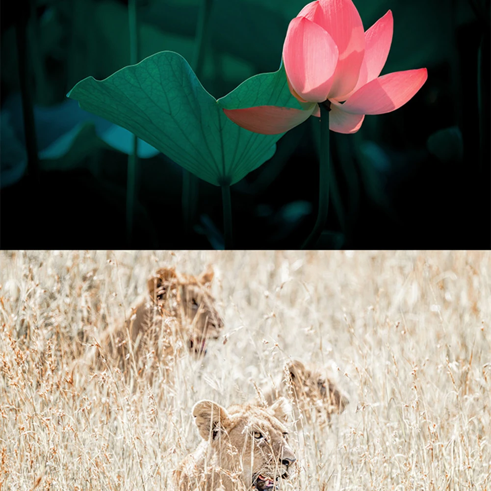 S74893ed0f235431087f1b922c659fa3fi Duże powiększenie teleskop astronomiczny profesjonalne dzieci eksperymentują z monokularem eksperyment naukowy jednoocznym obserwowaniem gwiazd