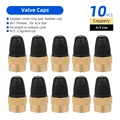 AV Caps GGD 10pc