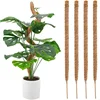 Plant Support Climbing Stakes Bendable Extension for Indoor Green Dill Vine Climbing Plant Garden Access 1