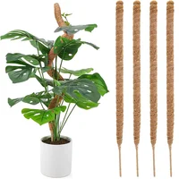 Plant Support Climbing Stakes Bendable Extension for Indoor Green Dill Vine Climbing Plant Garden Access 1